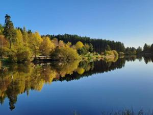 a lake with trees reflecting in the water at Gîte Les Myrtilles : Confort et Sérénité, Animaux Bienvenus, Jardin Commun - FR-1-496-45 in Merle +28 photos