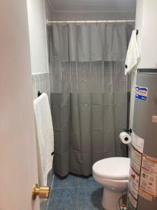 a bathroom with a shower curtain and a toilet at Casas Rabad in Punta Arenas +7 photos
