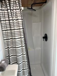 a bathroom with a shower curtain and a sink at The River's Edge (Tiny Home 3) in Bellevue