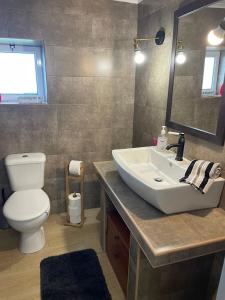 a bathroom with a sink and a toilet and a mirror at Rustica Ocean View House in Bretanha +21 photos