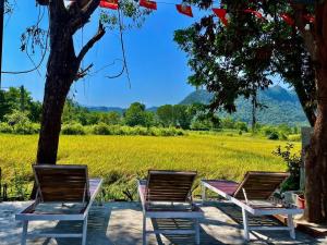 three chairs and a table in front of a field at Retreat Bungalow in Phong Nha