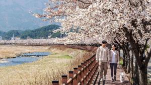a man and woman walking down a bridge with a dog at Yangyang J Ocean View in Yangyang