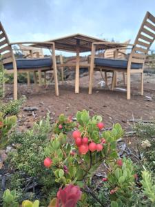 a picnic table and two chairs and a table and a plant at Lava Bus in Hawaiian Ocean View