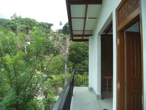 Κήπος έξω από το My Place Guest House