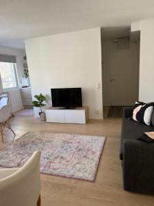 a living room with a couch and a flat screen tv at Paimenkatu 1 in Savonlinna