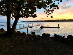 a dock on a lake with a tree and a sunset at Suite Escape Villa in Lowlands