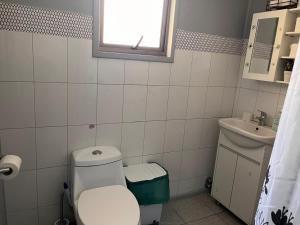 a bathroom with a toilet and a sink at Ventisqueros Coyhaique in Coihaique