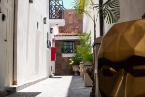 a narrow alley with buildings and plants on the side at Hotel don Bosco in Guadalajara
