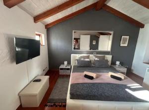 a bedroom with two beds and a flat screen tv at Istrian Private Garden Oasis in Žminj