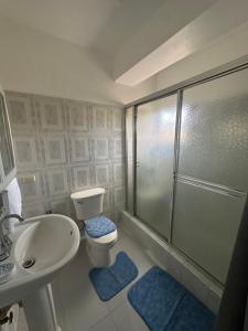 a bathroom with a shower and a toilet and a sink at Central Suites Jaraba in Jarabacoa +3 photos
