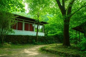 ein Haus mitten im Wald in der Unterkunft Rishikesh Valley in Rishikesh