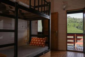 a bunk bed in a room with a window at The Door to Nirvana Backpackers Hostel Kotagiri in Kotagiri