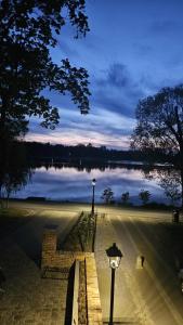 a street light next to a lake with a lamp at apartamenty64200 in Wolsztyn