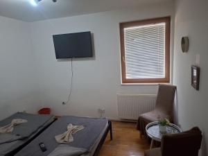 a bedroom with a bed and a tv and a chair at Exotic Nature Hostel in Sarajevo
