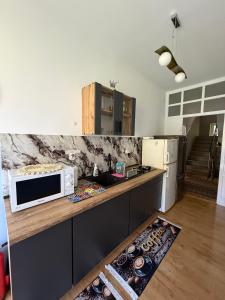 a kitchen with a counter with a microwave on it at Leśniewscy - Pokoje Gościnne in Ojców +5 photos
