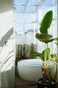 a bathroom with a bath tub and a plant at Kamakura Private Pool & Sauna Villa - Casablanca Pool House in Kamakura +29 photos