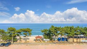 a view of a beach with trees and the ocean at Baradeon Bada Pension, Yangyang in Yangyang