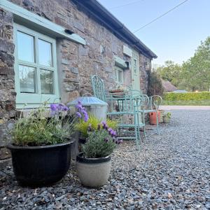 a patio with chairs and plants in front of a building at The Old Feed Store in Okehampton +8 photos