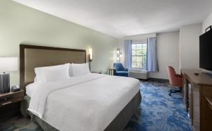 a hotel room with a large bed and a window at Hampton Inn Helen in Helen