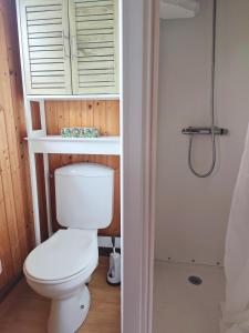 a bathroom with a toilet and a window at La maison bleue in Saint-André-dʼHébertot