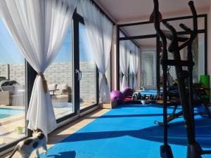 a room with a swimming pool with a dog standing on the floor at Garden of Silance in Cîrcea