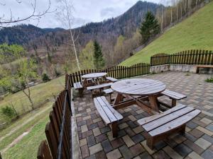 ein Picknicktisch und Bänke auf einer gemauerten Terrasse in der Unterkunft Deer Chalet in Holda