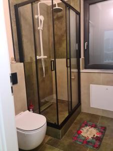 a bathroom with a shower with a toilet and a window at Garden of Silance in Cîrcea +3 photos