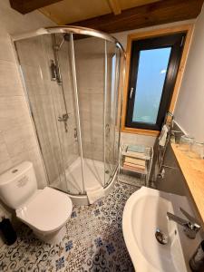 a bathroom with a shower and a toilet and a sink at Domek z jacuzzi Wypoczynek Pod Lipami in Wólka +36 photos