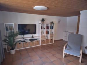 a living room with a television and a chair at Nenis Hüsli in Diesbach