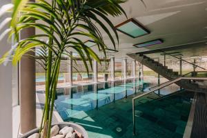 ein Hallenbad mit einer Topfpflanze in einem Gebäude in der Unterkunft Johan Design & SPA Hotel in Kuressaare