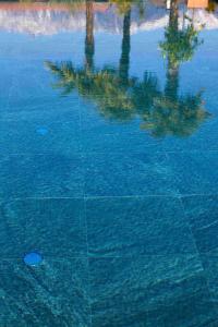 a pool of water with a reflection of trees in it at Haus Wiesenstein in Lana