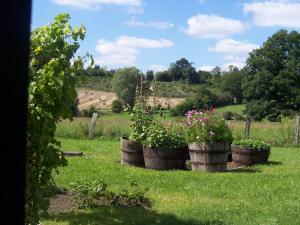 Zahrada ubytování Maison d'Hôtes Les Après