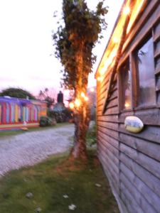a house with a tree next to a building at Allys cute Campervan in Carbis Bay +23 photos
