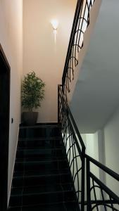 Eine Treppe mit einer Topfpflanze und einer Lampe an der Wand in der Unterkunft Résidence EBENZ in Jaunde