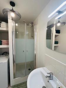 a bathroom with a shower and a white sink at Downtown High Standing Duplex - "CENTRUM" in Épernay