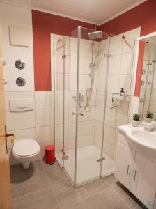 a bathroom with a shower with a toilet and a sink at Ferienwohnungen Stark in Kelheim +19 photos