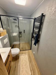 a bathroom with a toilet and a glass shower stall at Ateliér Smutná in Ostrava +23 photos