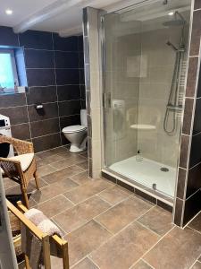 a bathroom with a shower and a toilet at Stawalters in Kirrwiller