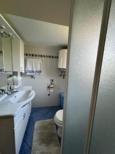 a bathroom with a toilet and a sink at Apartment Sajković in Ugljan +42 photos