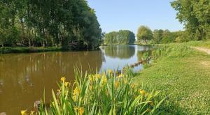 a river with a bunch of flowers in the foreground at Gite Chez Tof et Ninie in Houlle