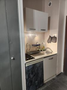 a small kitchen with a stove and a sink at Studio proche de la mer in Calvi