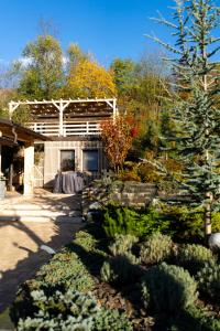 a garden with plants and a building in the background at Casa Caius in Văliug