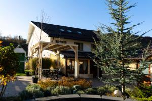 a house with a pergola in the yard at Casa Caius in Văliug +16 photos