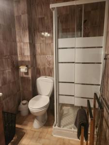 a bathroom with a toilet and a shower at Studio proche de la mer in Calvi