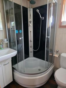 a bathroom with a shower with a sink and a toilet at Domek letniskowy - niebieski całoroczny in Stegers +63 photos