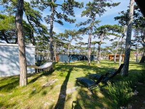 Pine House tesisinin dışında bir bahçe