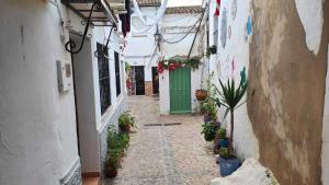 an alley with a green door in a building at El callejón del Santo in Ubrique