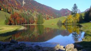 un lago en medio de un campo con árboles en Ferienhütte Kälberweide, en Hittisau