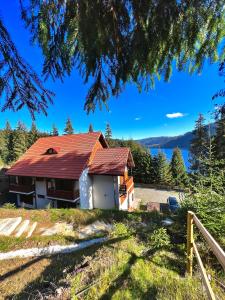 a house with a red roof on top of a hill at Caesars HOUSE Lac Belis in Luna de Sus +6 photos