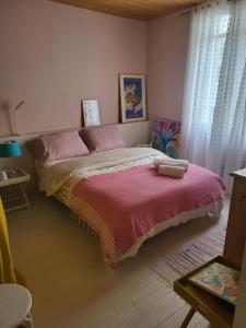 a bedroom with a large bed with pink pillows at Échoppe Saint Augustin in Bordeaux